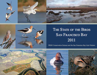 State of the Birds San Francisco Bay 2011 report
